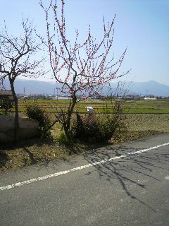 2012032711400000.jpg